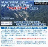 「やんばツアーズ」実施中！