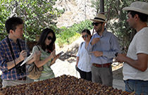 アルメニア地方産品と地方ブランドの開発プロジェクトフェーズ2