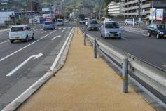 防草コレアルカを用いたシャワーレジン工法（旧：CG-120032-A）