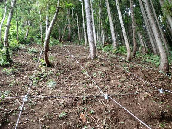 鋼管杭式表層崩壊予防工法（旧HK-160010-A ）