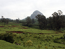 エチオピア砂漠化対処に向けた次世代型「持続可能な土地管理（SLM）」フレームワークの開発