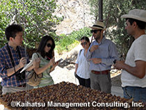 アルメニア地方産品と地方ブランドの開発プロジェクトフェーズ2