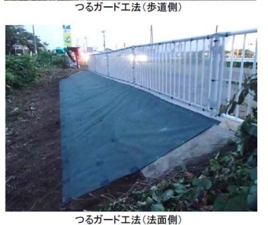つる性雑草侵入防止工法(つるガード工法)（ KT-170031-VR ）
