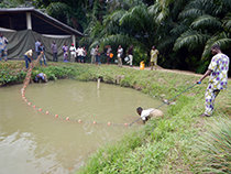 ベナン内水面養殖普及プロジェクトフェーズ2