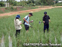 タイ国における統合的な気候変動適応戦略の共創推進に関する研究