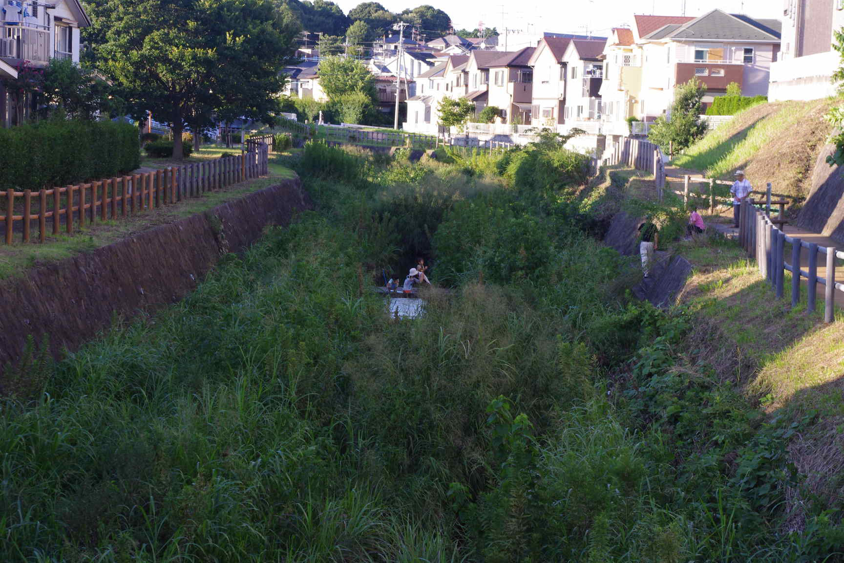 河川における護岸ブロックの環境評価手法に関する共同研究報告書を作成。