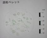 環境対策緑化工法（ CB-100007-VE ）