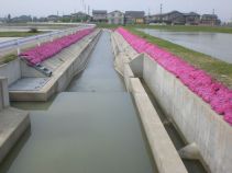 ハイブリッドマルチシート『シャギーマルチ』（旧 KK-160063-A ）