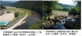 安全と環境のバランスのとれた改良復旧へ～「美しい山河を守る災害復旧本方針」ガイドラインを改定～