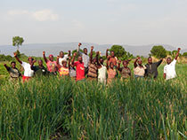 マラウイ 市場志向型小規模園芸農業推進プロジェクト