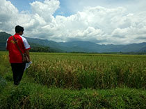 インドネシア農業保険実施能力向上プロジェクト