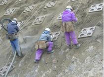 RSパネル (QS-100006-VE)