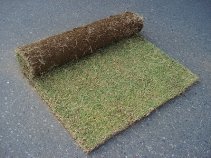 キョーリョッカー21工（ SK-110011-VE ）