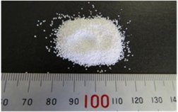 プロピオン酸ナトリウムを活用した新たな凍結防止剤の本格導入に向けた検証