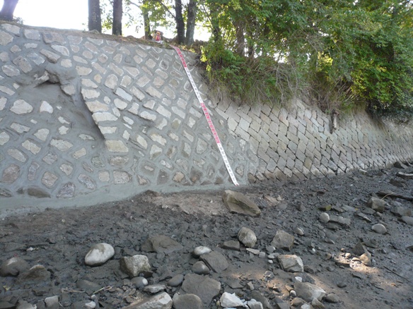 アライード  (CG-120016-VE)