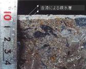 ニュースパンガード  (QS-100008-VR)