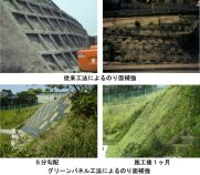 グリーンパネル工法（旧：CG-010007-VE）