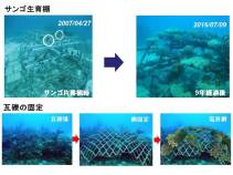 微弱電流によるサンゴ生育促進工法（ OKK-180001-A ）