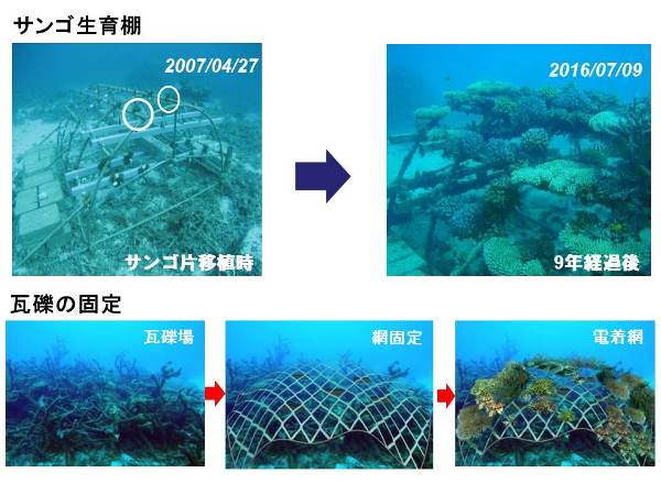 微弱電流によるサンゴ生育促進工法（ OKK-180001-A ）