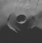 令和元年（2019年）浅間山の火山活動に関する対応