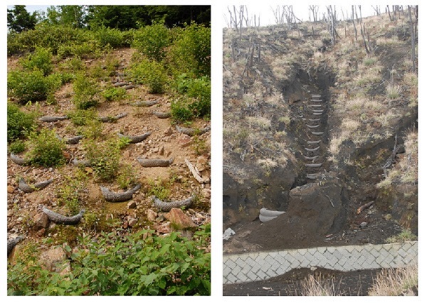 東京クレセントロール(ToCR)   (KT-150032-A)