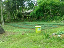 フィリピン：ミンダナオ北部貧困削減（バランガイガバナンス）プロジェクト