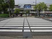視覚障害者用道路横断帯用「アトムエスコートゾーン」   (CG-120023-VE)