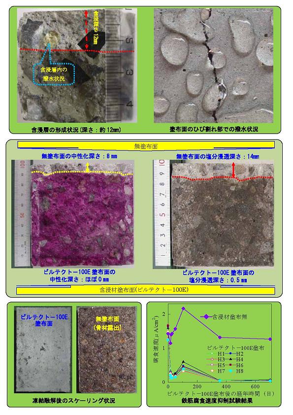 ビルテクト-100E   (CB-110027-VR)