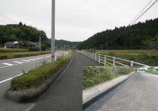 クサデナーズ   (QS-170003-A)