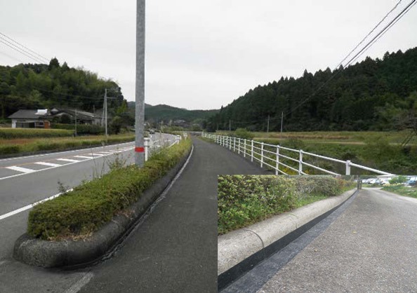 クサデナーズ   (QS-170003-A)