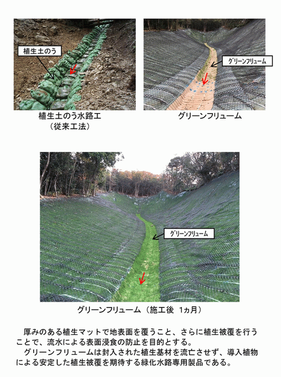 グリーンフリューム (CB-190007-A) グリーンフリューム (CB-190007-A)