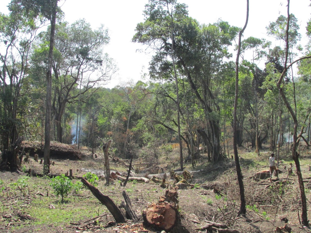 気候変動と世界食料生産危機 ～持続的資源・環境管理技術への期待