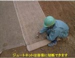 ジュート繊維利用環境配慮型人工張芝「アサシバ」   (TH-140013-VE)