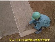 ジュート繊維利用環境配慮型人工張芝「アサシバ」   (TH-140013-VE)