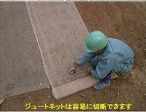 ジュート繊維利用環境配慮型人工張芝「アサシバ」   (TH-140013-VE)