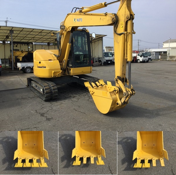 クマンツメ   (QS-170005-VE)