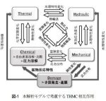 損傷理論を導入した多孔質岩盤における熱・水・応力・化学連成解析