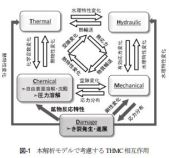 損傷理論を導入した多孔質岩盤における熱・水・応力・化学連成解析