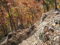 自然調和型落石防止工(ワイヤネット・KSネット) (SK-100010-VR)