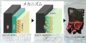 ハクリタイトエコST(KK-200021-A)