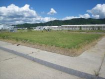 高耐油性日本シバ「バーニングフィールド」(KK-200036-A)