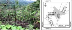大雨を伴う台風は森林倒壊リスクを増大させることを解明～雨台風による森林倒壊のメカニズムに迫る～