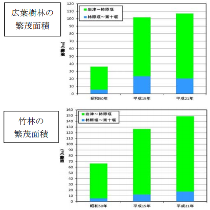 吉野川における効率的な樹木管理に向けて