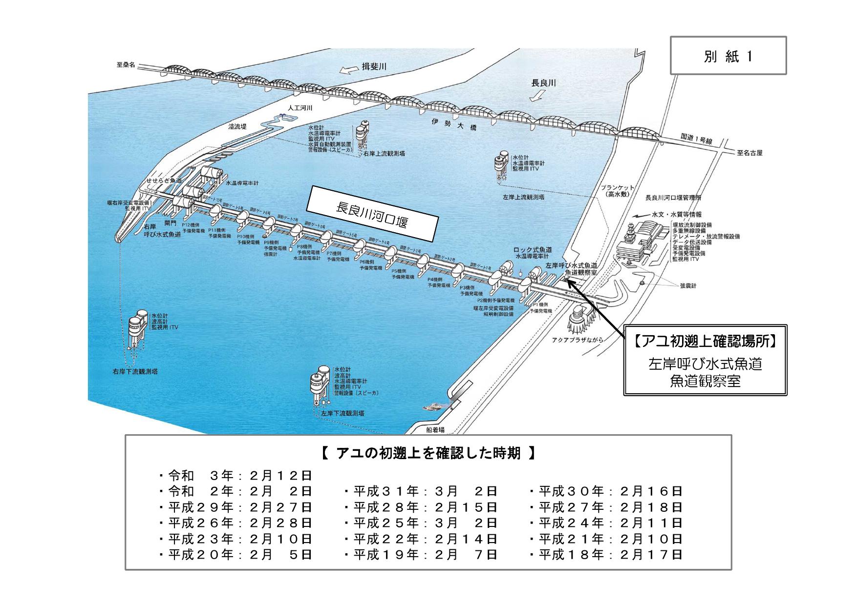 長良川河口堰で今年初めての稚アユの遡上を確認～ＡＩ技術を用いて稚アユの遡上数を調査します～