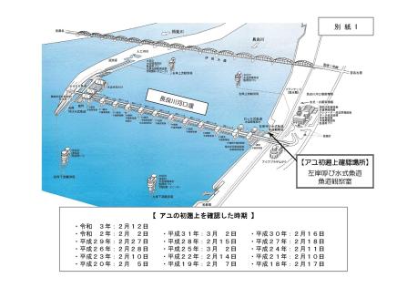 長良川河口堰で今年初めての稚アユの遡上を確認～ＡＩ技術を用いて稚アユの遡上数を調査します～