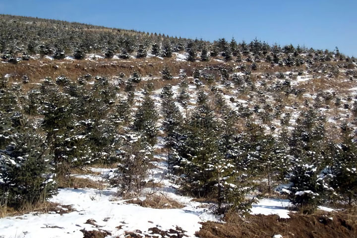 中華人民共和国：青海省生態環境整備事業