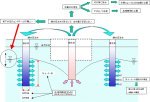 循環型地下水制御工法「エコリチャージ」(KT-220190-A)