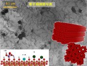重金属不溶化材スラリーTP-S(KK-230010-A)