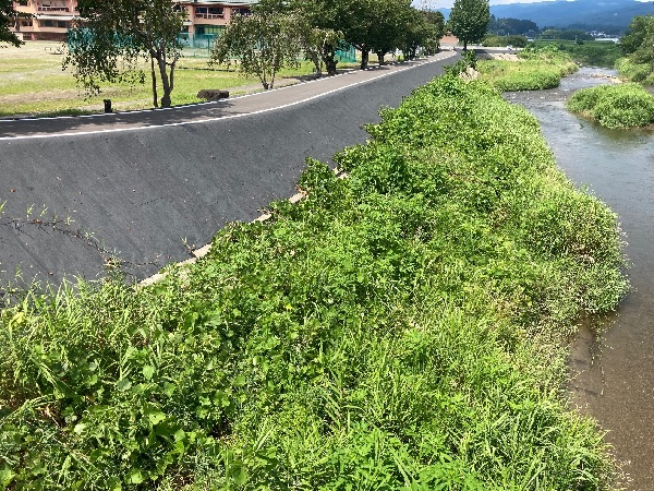 改質アスファルト系法面保護・防草シート「アピールAG400」(KK-220023-A)