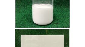 環境配慮型塗膜剥離剤「ペイントール」(KK-230004-A)